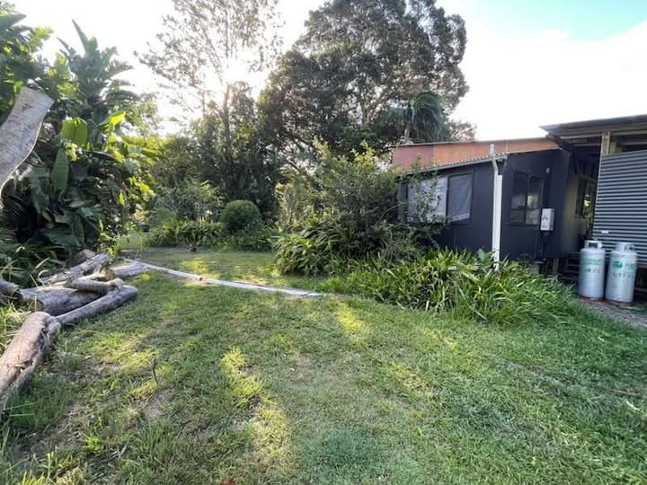 Corindi yard cleared and prepped — sub-tropical garden, freshly cut pier hole locations along the cleared strip.